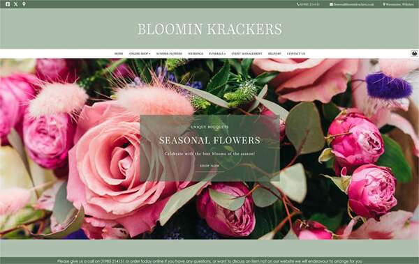 Bloomin Krackers website example