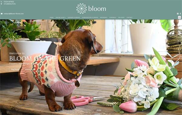 Bloom website example