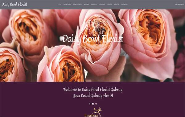 Daisy Bowl Florist website example in Ireland