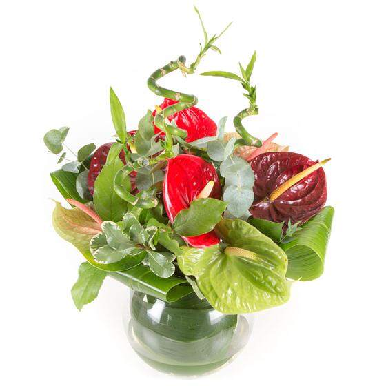 The Brampton Range bouquet alternate view