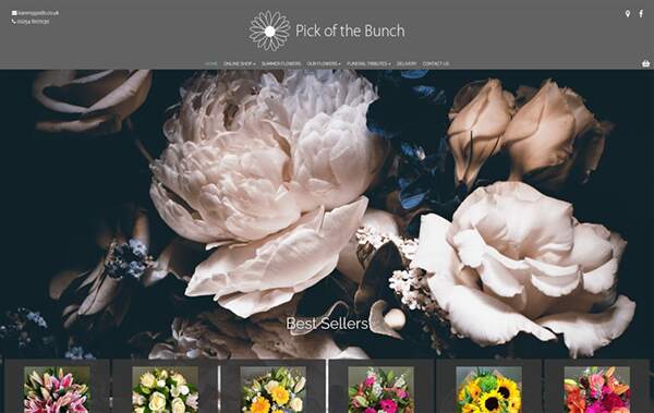 Pick of the Bunch website example