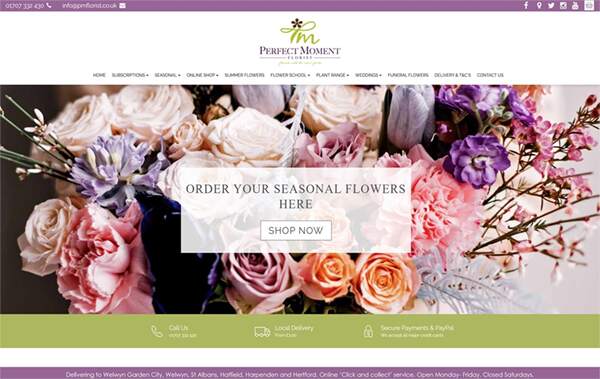 Perfect Moment website example