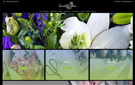 Beautiful Blooms