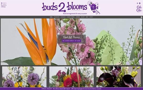 Buds 2 Blooms website example