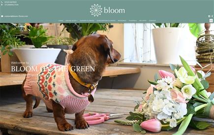 Bloom